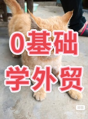 0基础学外贸10节课让你轻松开展国际市场