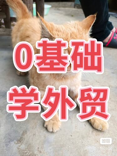 0基础学外贸10节课让你轻松开展国际市场