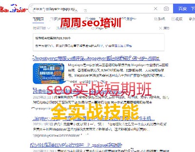 周周网站优化一对一实战教学！