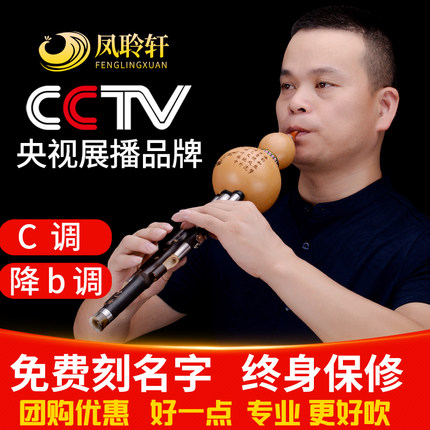 紫竹葫芦丝c调降b调小学生专用成人儿童初学者专业演奏乐器G/F/D
