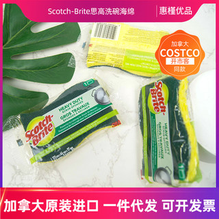 加拿大costco同款美国3M/思高清洁海绵百洁布洗碗布