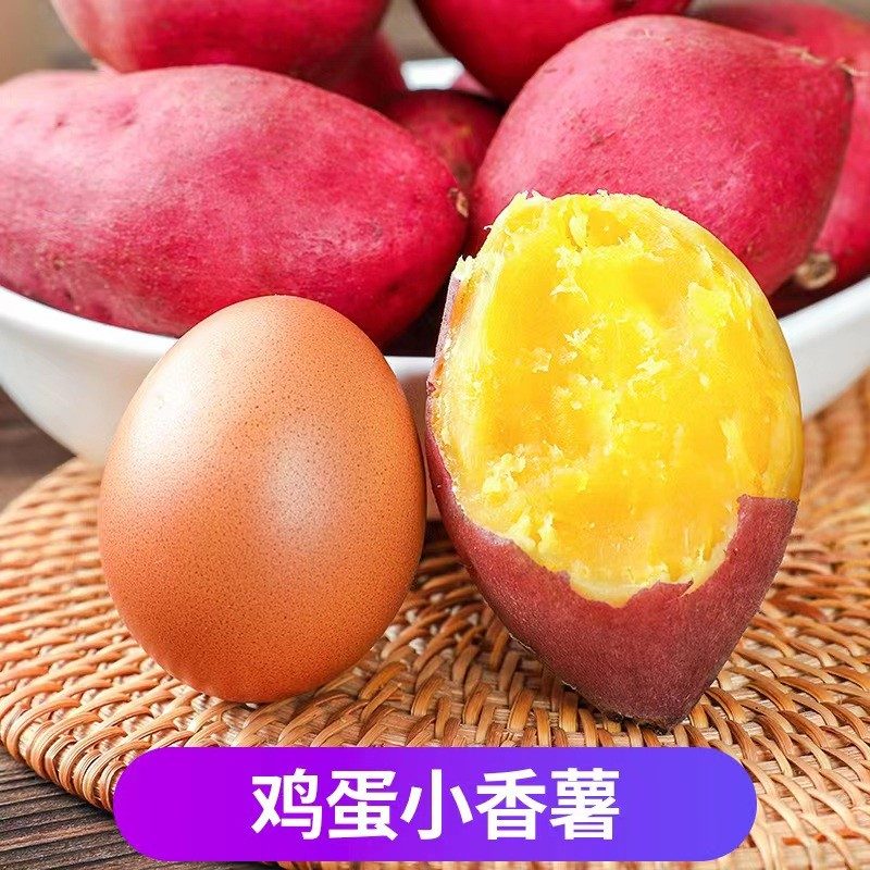 新鲜板栗红薯5斤蛋蛋果小香薯鸡蛋圆番薯农家自种地瓜