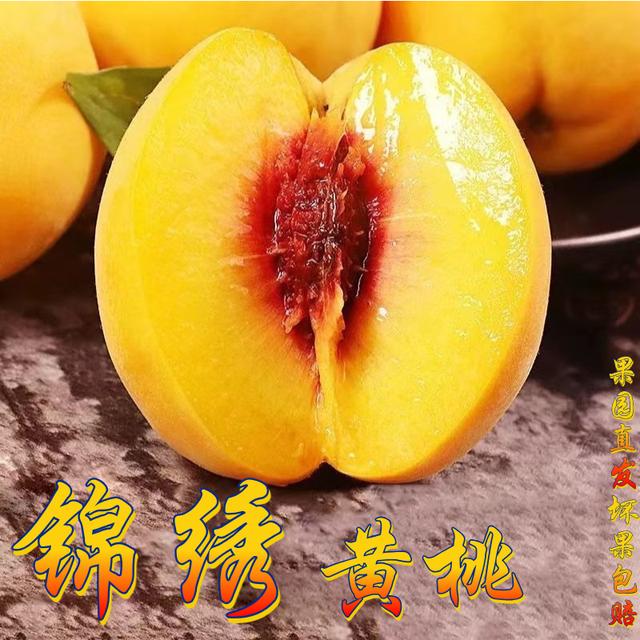 小耘乡山东锦绣黄桃红心黄桃香甜多汁当季新鲜水果产地现摘现发
