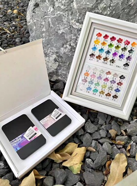 【现货】日本 Tomi nail 美甲用水彩  48色 珠光纯色一套送笔