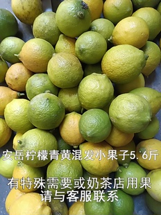 安岳农家拟野生生态奶茶鸡蛋小柠檬新鲜水果切片泡水榨汁五斤六两