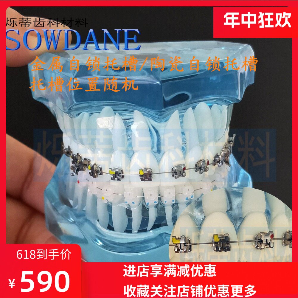 牙科牙模正畸模型对比模型透明牙模口腔教学医患沟通展示两对比
