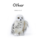 美国Douglas仿真动物鸟类正版 雪鸮公仔玩偶娃娃毛绒玩具生日礼物