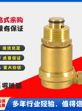 大站力牌PQF-16TL热锻黄铜立式排气阀外螺纹自动排气阀
