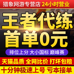 【亏本低价】王者荣耀代练代打带排位上分车队英雄战力巅峰赛游戏