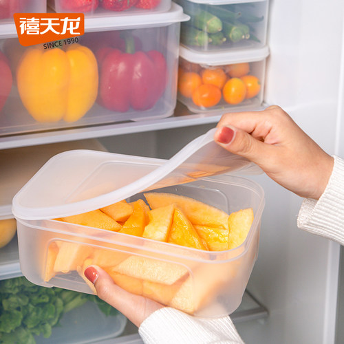 禧天龙家用塑料冰箱鸡蛋冻饺子