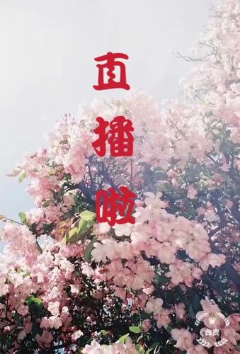淘宝直播周五8点开播植物