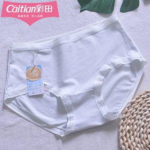 彩田15172棉女中腰内裤 蕾丝边抑菌 棉质7A抗菌石墨烯包臀三角裤