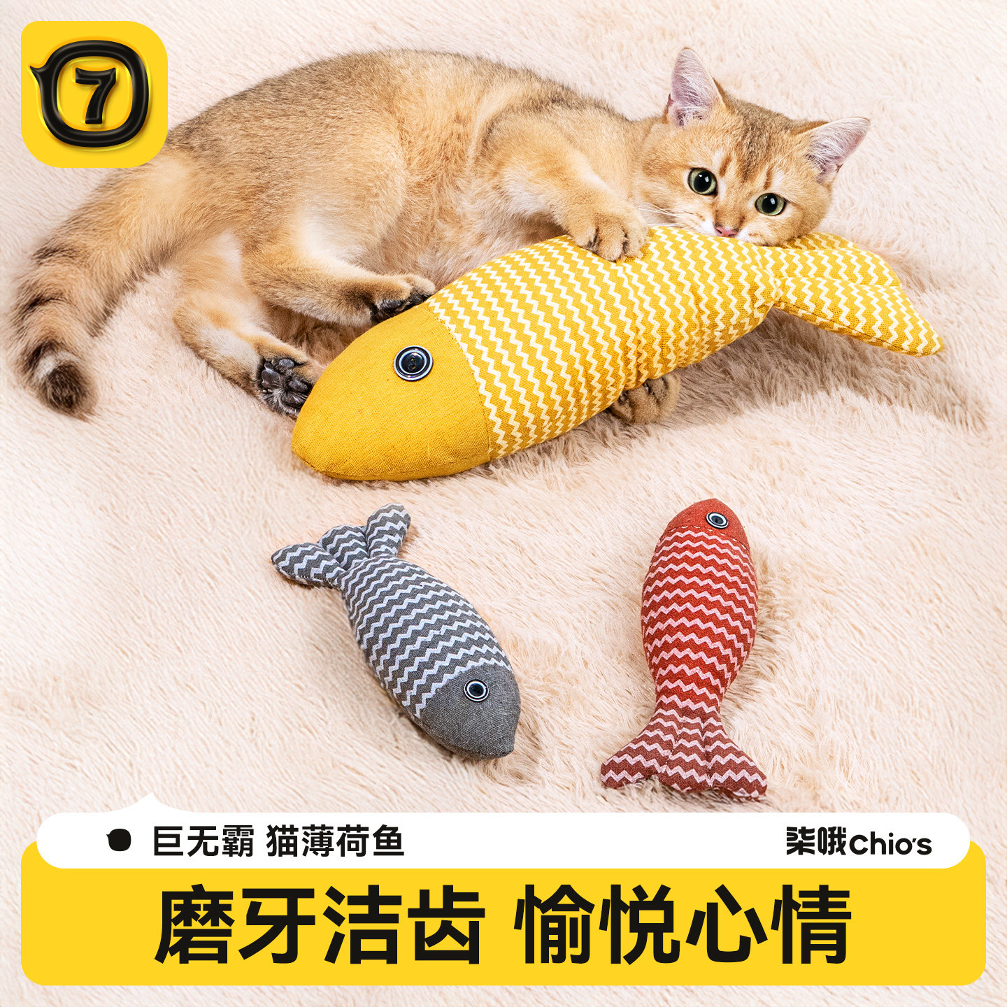 巨无霸特大号猫薄荷鱼图片