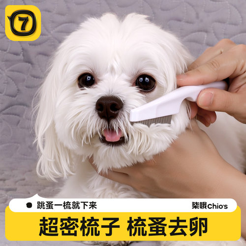 狗狗梳子面部打理专用梳