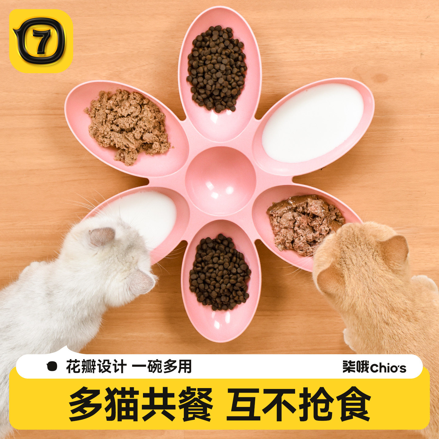 花瓣设计多猫共食不抢食不串味图片