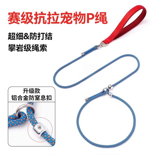 【随行训练神器】狗狗P绳