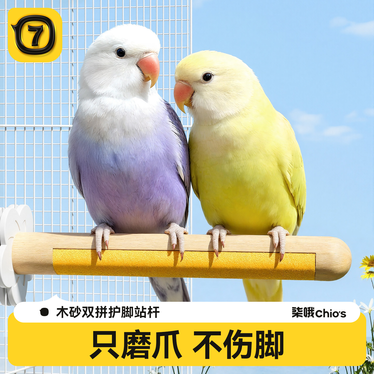 不伤脚的鹦鹉磨爪站杆