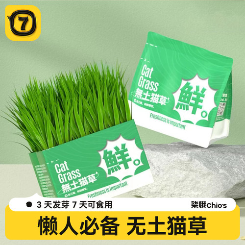 优质小麦种子 高发芽率 三天发芽
