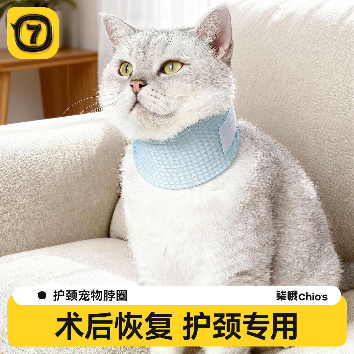 宠物伊丽莎白圈狗狗猫咪脖圈颈椎支撑防抓防舔咬颈保护脖套可调节