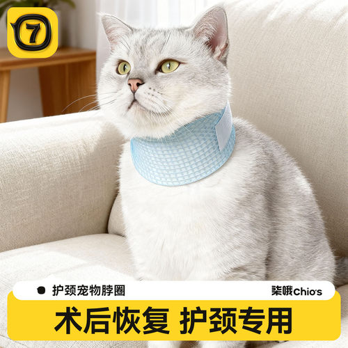 宠物伊丽莎白圈狗狗猫咪保护脖套