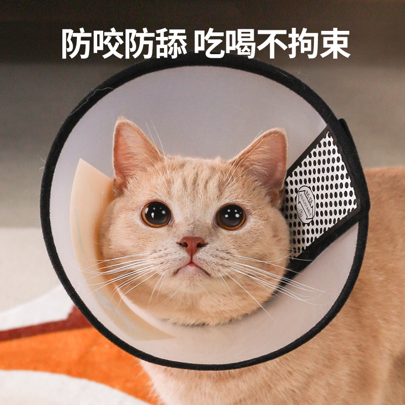 猫咪伊丽莎白圈术后专业防舔