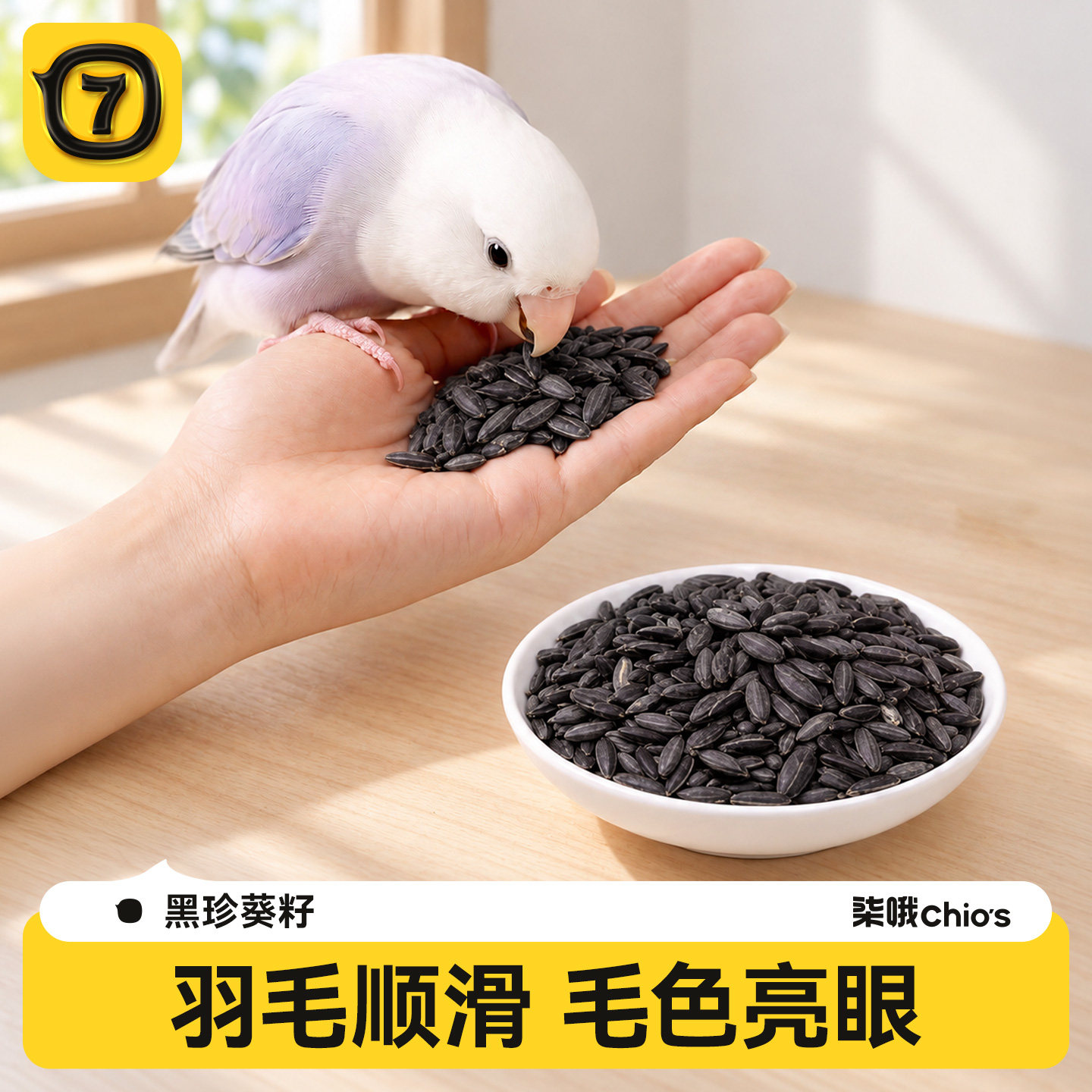 柒哦油葵瓜子鹦鹉专用油料葵花籽黑珍珠小太阳牡丹玄凤小零食鸟粮