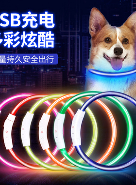 狗狗发光狗项圈宠物夜光遛狗灯狗圈颈圈夜间大型犬小型犬发亮充电