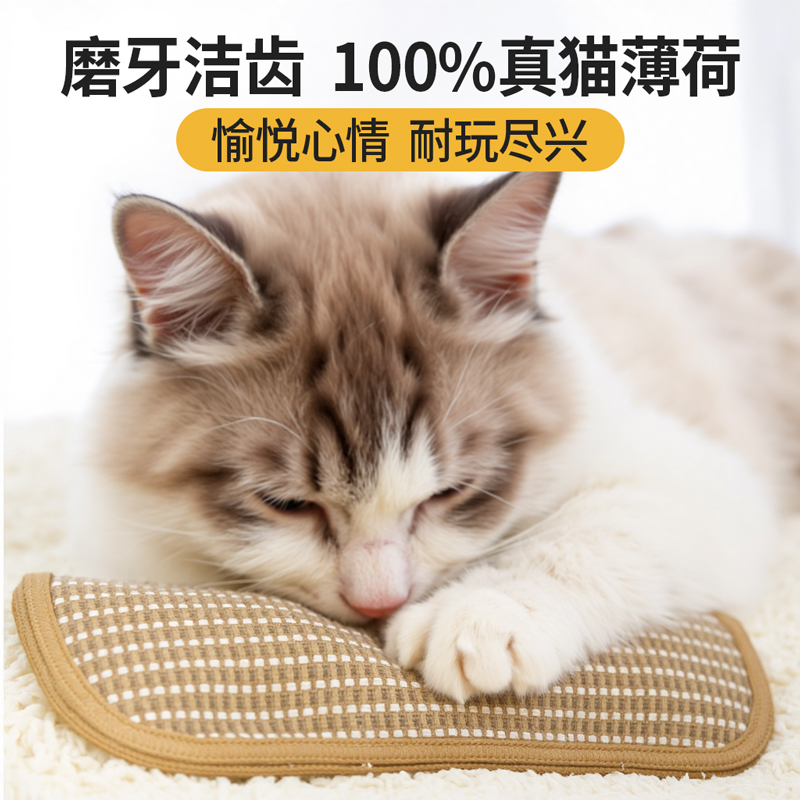 猫咪玩具猫薄荷抱枕磨牙耐咬洁牙