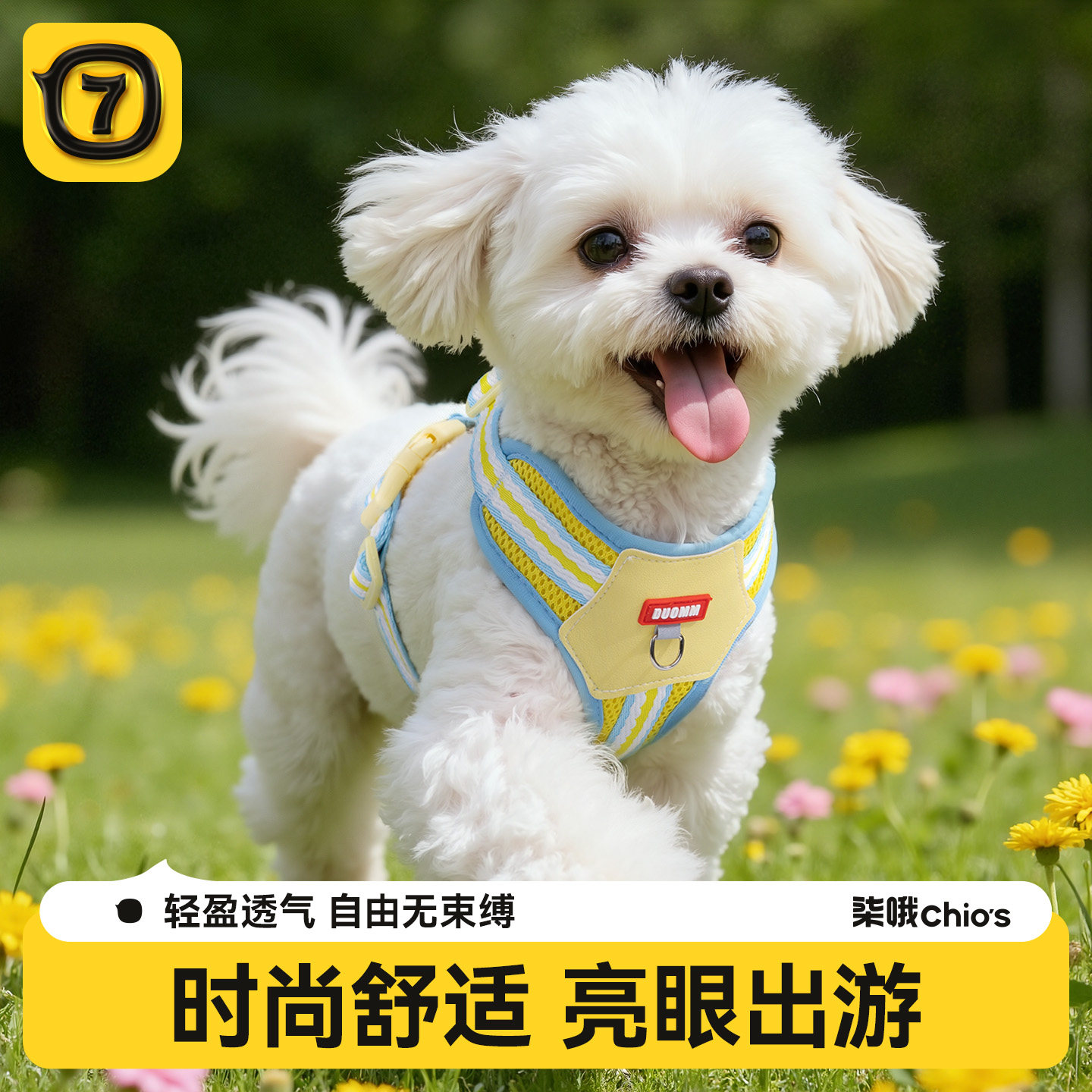 【时尚胸背】狗狗牵引绳图片