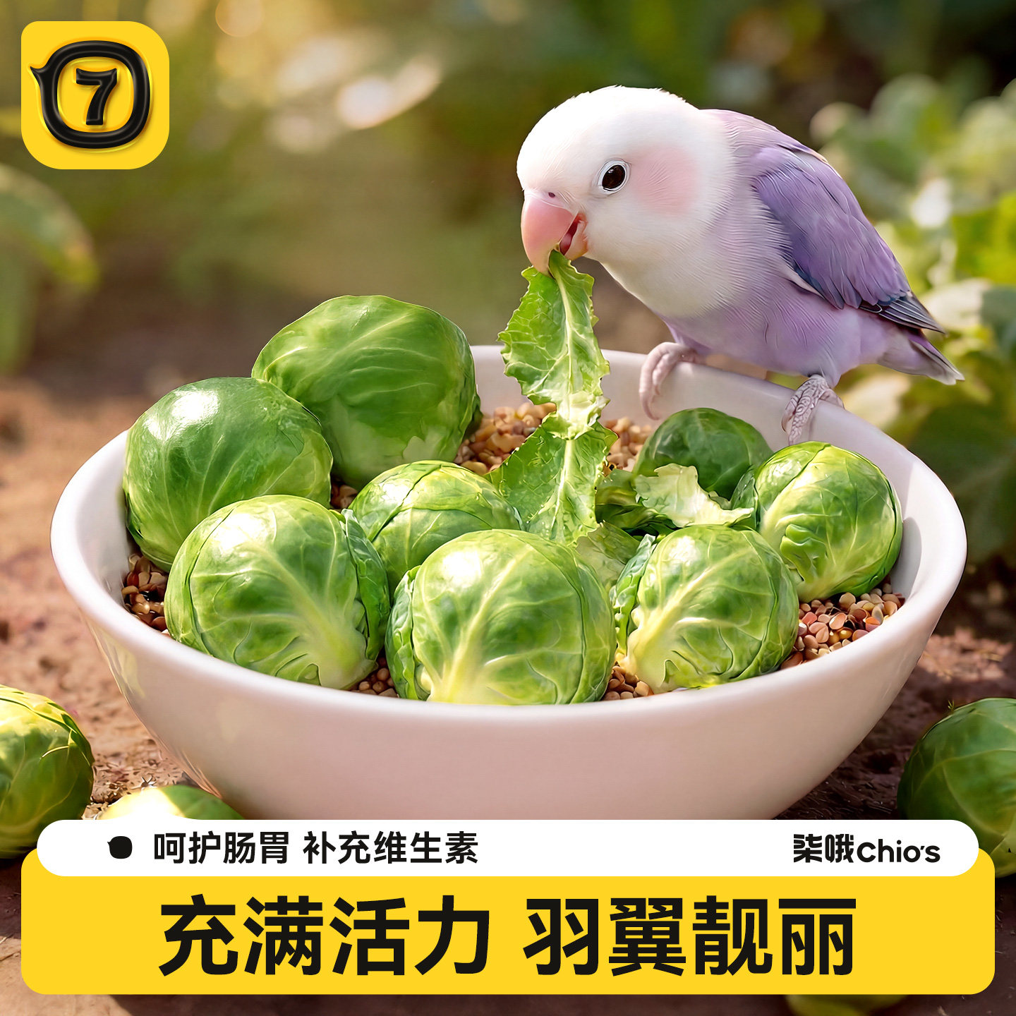 鹦鹉孢子甘蓝水果蔬菜冻干辅零食料奖励牡丹虎皮玄凤鸟粮食饲啃咬