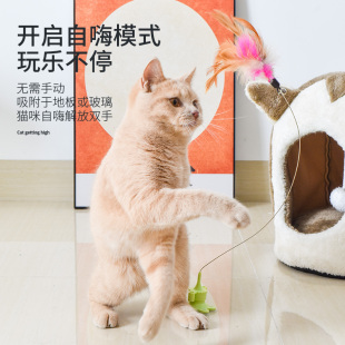 逗猫棒猫玩具幼猫自嗨解闷神器猫咪吸盘自动逗猫耐咬钢丝长杆羽毛