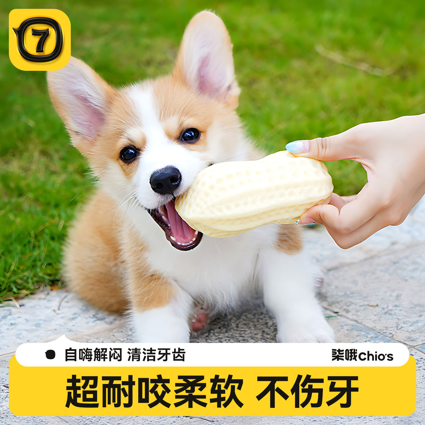 狗狗玩具耐咬磨牙发声球花生解闷神器幼犬柯基大小型犬宠物狗用品