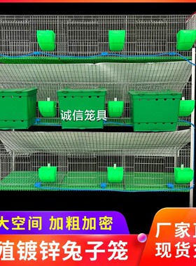 诚信兔笼兔笼养殖笼加密免清粪