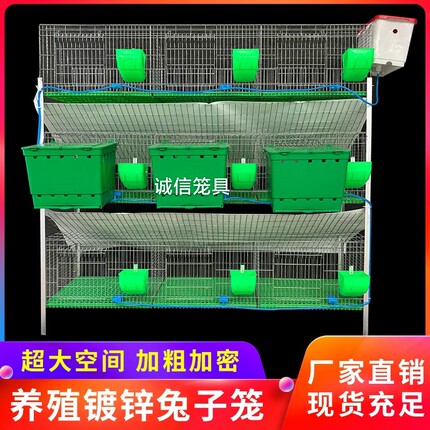 兔笼养殖兔笼子家用大号铁丝网自动清粪加密兔子笼子产笼宠物兔舍