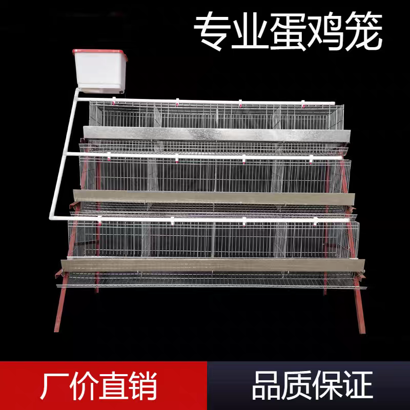 蛋鸡笼子家用养鸡笼子鸡鸭鹅笼子滚鸡蛋笼子鸡笼子鸡鸭鹅笼子