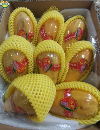 沈阳牛奶木瓜海南红心红肉非冰糖木瓜新鲜水果10斤装辽宁包邮
