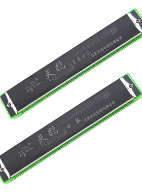 Harmonica with 24 holes and 28 holes for beginners, beginner