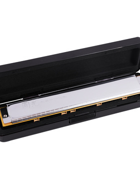 Harmonica 24 hole polyphonic C-key harmonica beginner playin