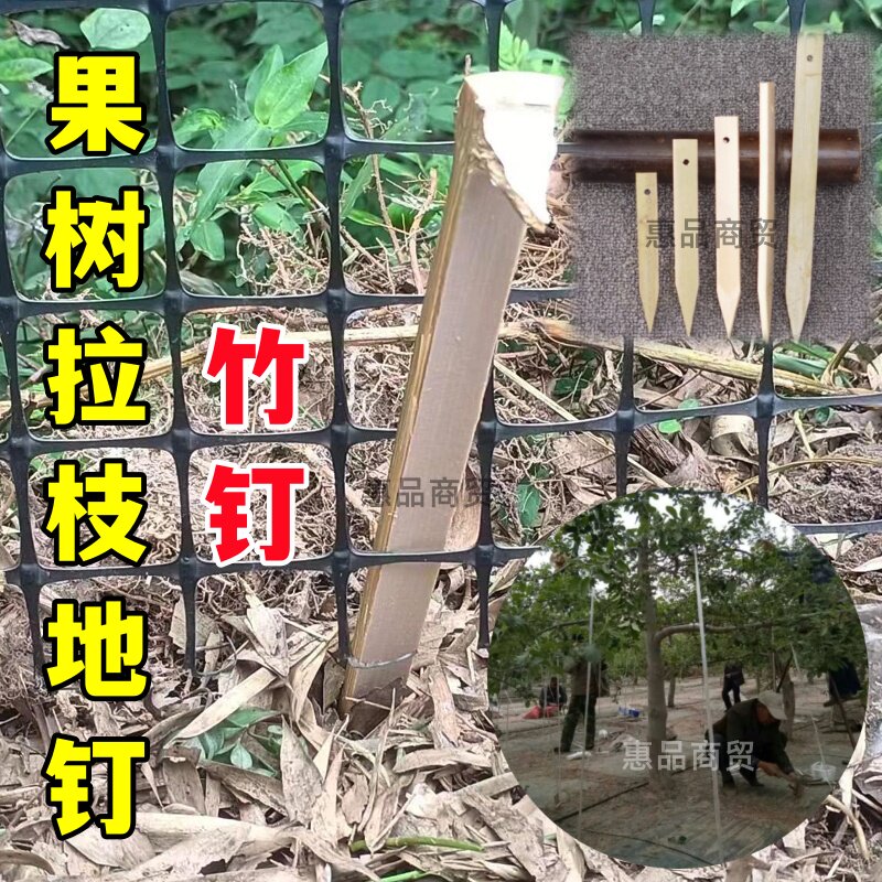 竹子地插钉虾笼固定工具果树拉枝