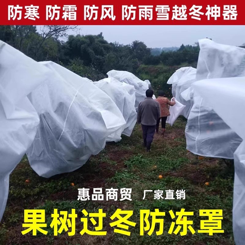 橘子树防冻罩桔子树木花木保温套包柑橘冬天果园越冬季果树防寒罩,农机/农具/农膜,农用薄膜,淘宝优惠券,粉丝福利购,淘宝优惠卷