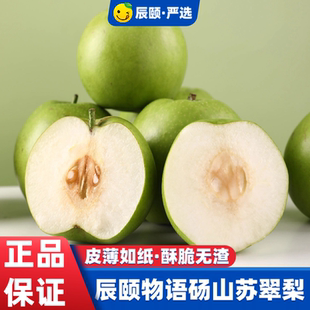 辰颐物语安徽砀山苏翠梨砀山翠玉梨丁香梨酥梨脆梨现摘发甜梨应季