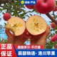 辰颐物语洛川苹果新鲜苹果甜甜苹果水正宗当季 脆甜平果现摘直发