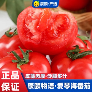 辰颐物语优选爱琴海番茄西红柿洋柿子新鲜应季水果现摘直发坏果赔
