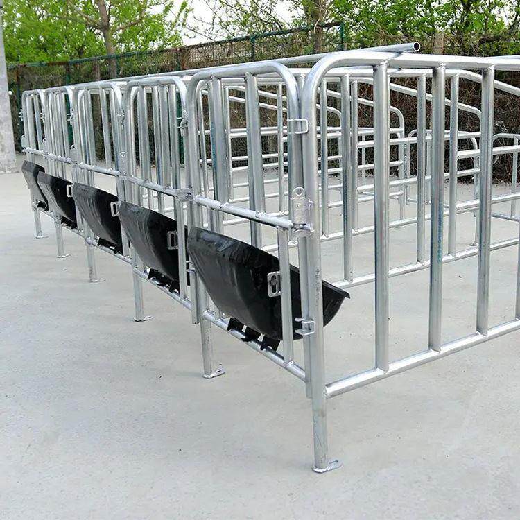分娩母猪定位栏 落地式养殖场用设备 热镀锌产床