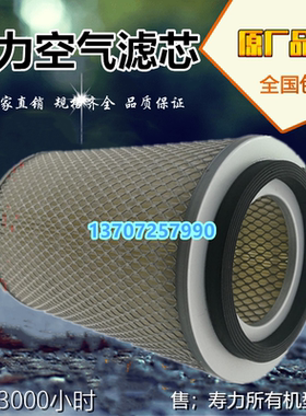 寿力AS2207/AS2208保养耗材22KW空气滤清器88291002-854空滤风格