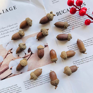 森系天然橡子橡果装饰手工干花挂件松干果圣诞布景幼儿园环创摆件