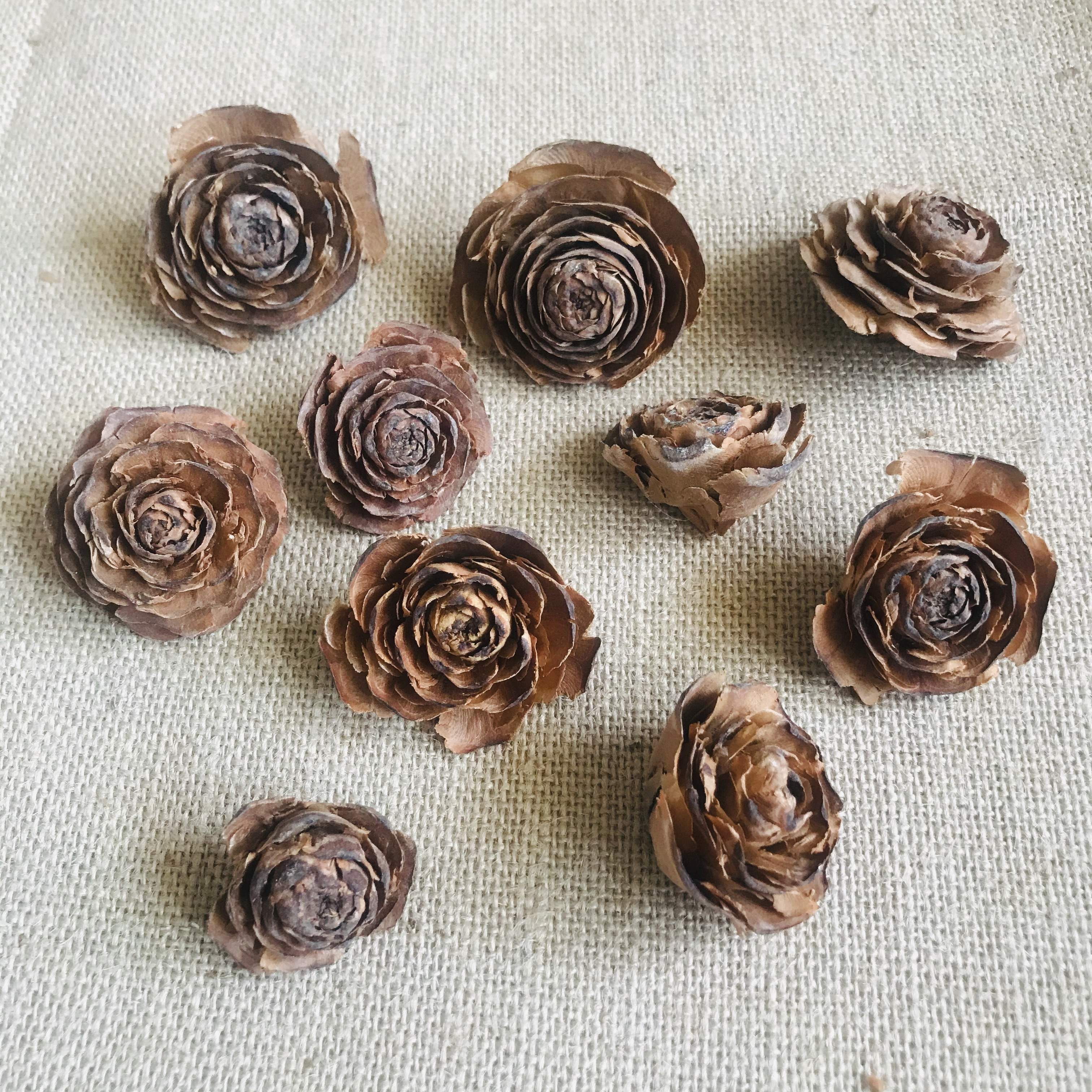 进口大地果园拍摄新款上市干花