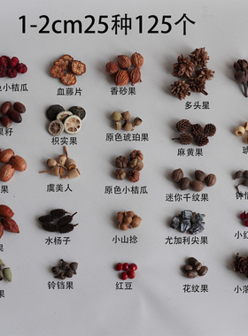 迷你植物果实手工材料包耳饰发夹