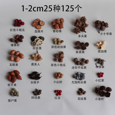 迷你植物果实手工材料包耳饰发夹