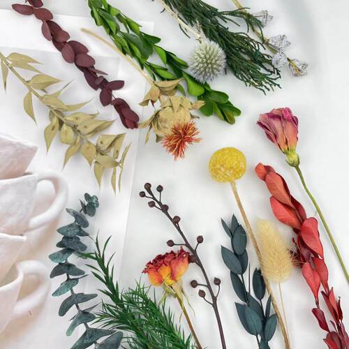 天然干花永生花果实高粱白果南蛇藤灯台果圣诞花小枝植物素材